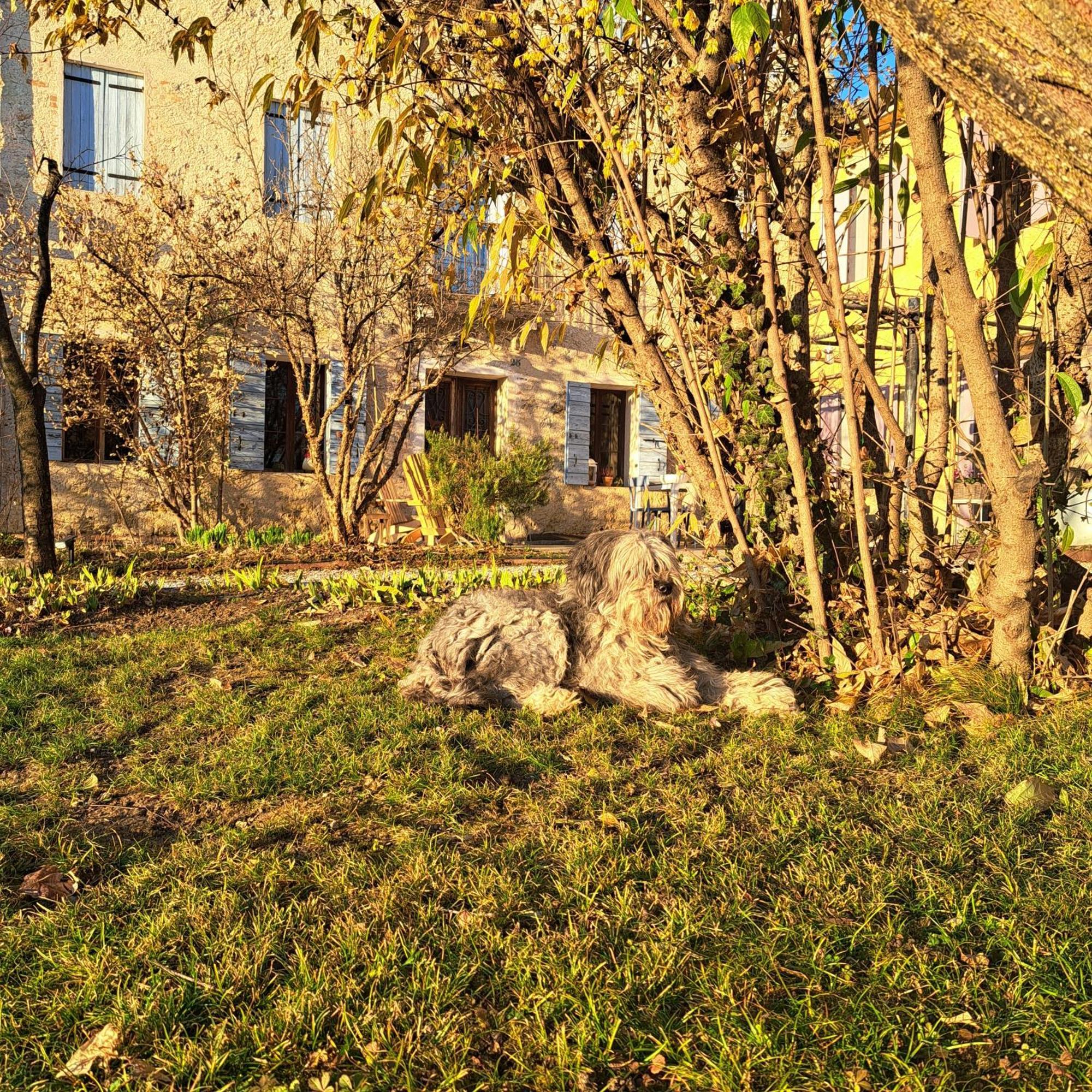 Casadesergio Refrontolo Екстер'єр фото