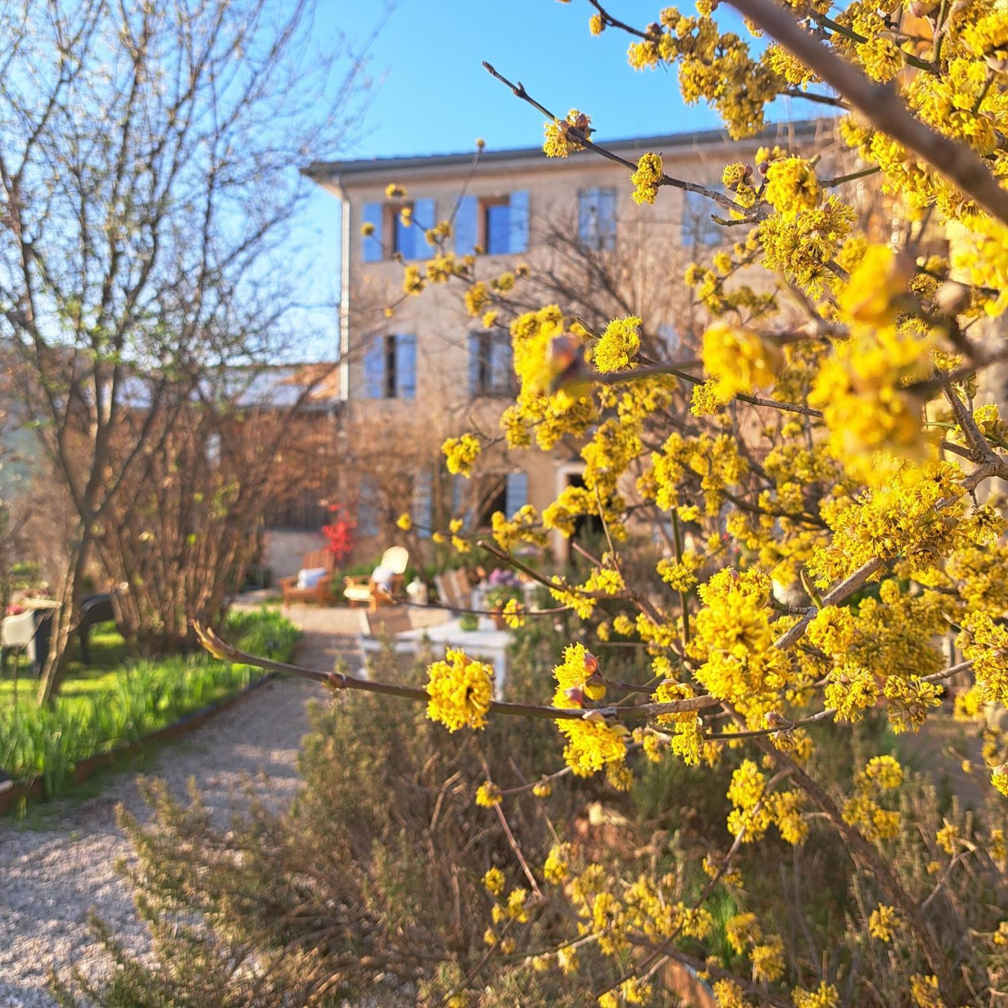 Casadesergio Refrontolo Екстер'єр фото